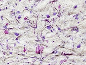 Liquid wallpaper Bioplast 973